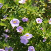 P1050464