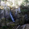 P1080662 三滝寺