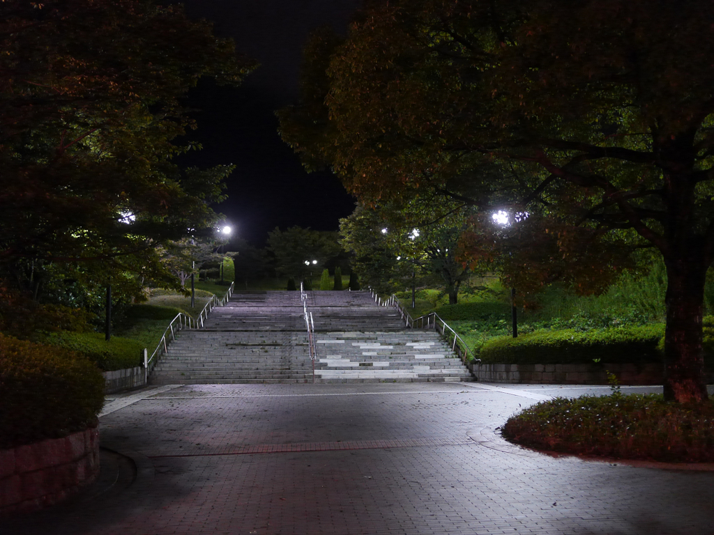 P1040016