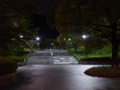 P1040016