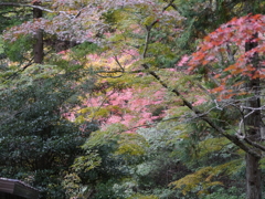 P1000285