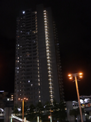P1040050