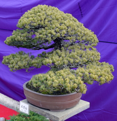 107_P1040656g