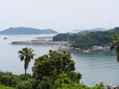 P1020090