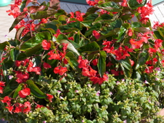 P1050261