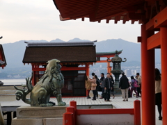 P1000343