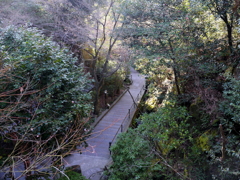 P1080658 三滝寺
