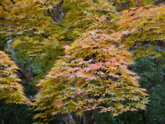 P1000279