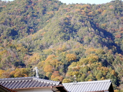P1010323