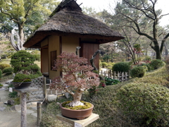 P1040670g