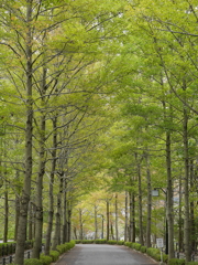広島広域公園