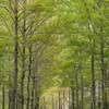広島広域公園