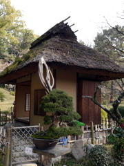 P1040672g
