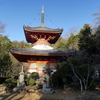 P1080716 三滝寺
