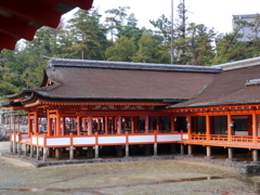 P1000335