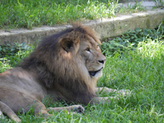 P1020374