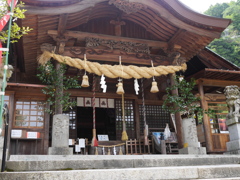 P1020743