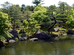 日本庭園
