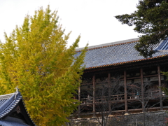 P1080183