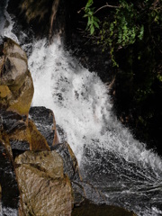 P1030380