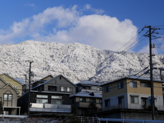 P1080502 寒い朝