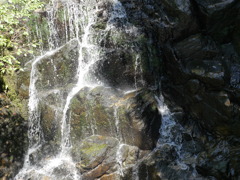 P1030377