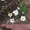 P1050535