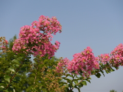 P1020933