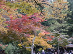 P1000267