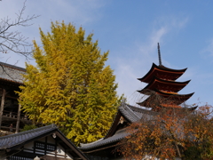 P1000189