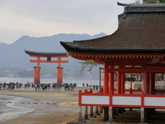 P1000330