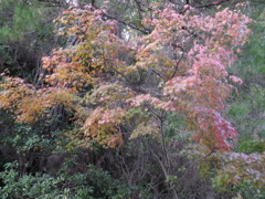 P1000210