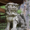 P1020659