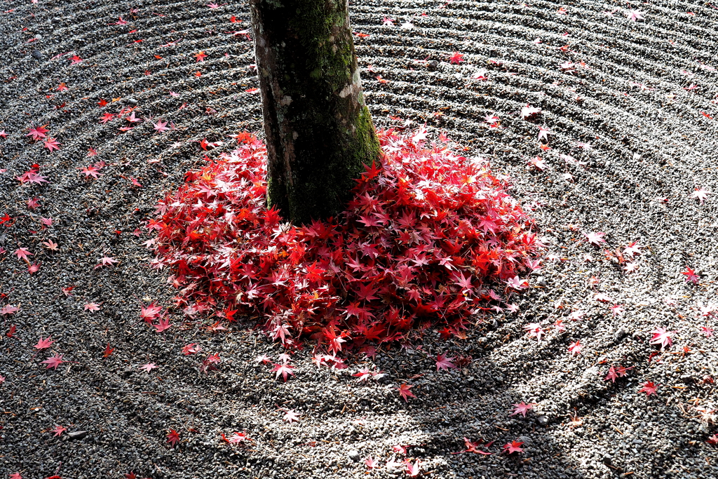 佛通寺の紅葉