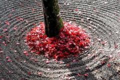 佛通寺の紅葉