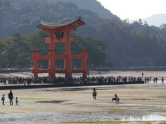 P1000165