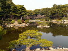 P1040716g