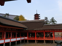 P1000338