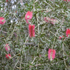 P1010576