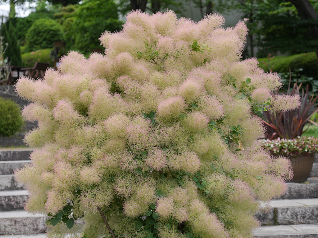 P1010501