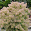 P1010501