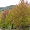 広島広域公園