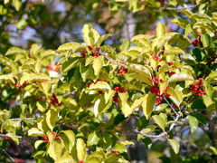 P1010317