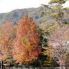 P1010310