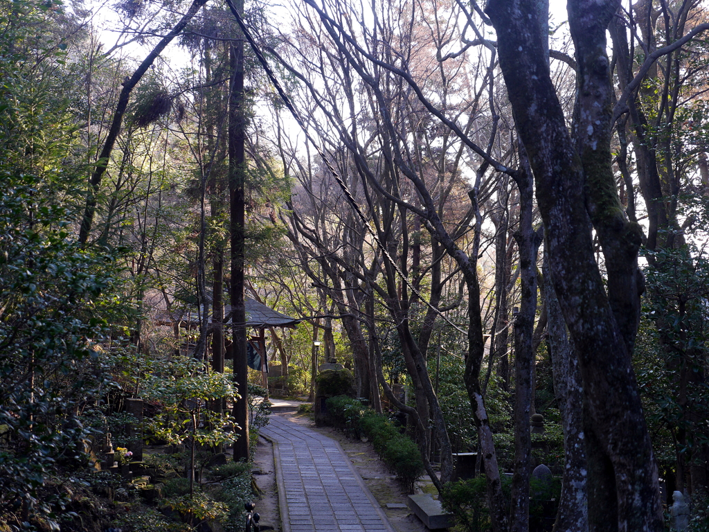 P1080634 三滝寺