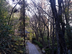 P1080634 三滝寺
