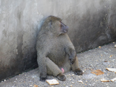 P1020382