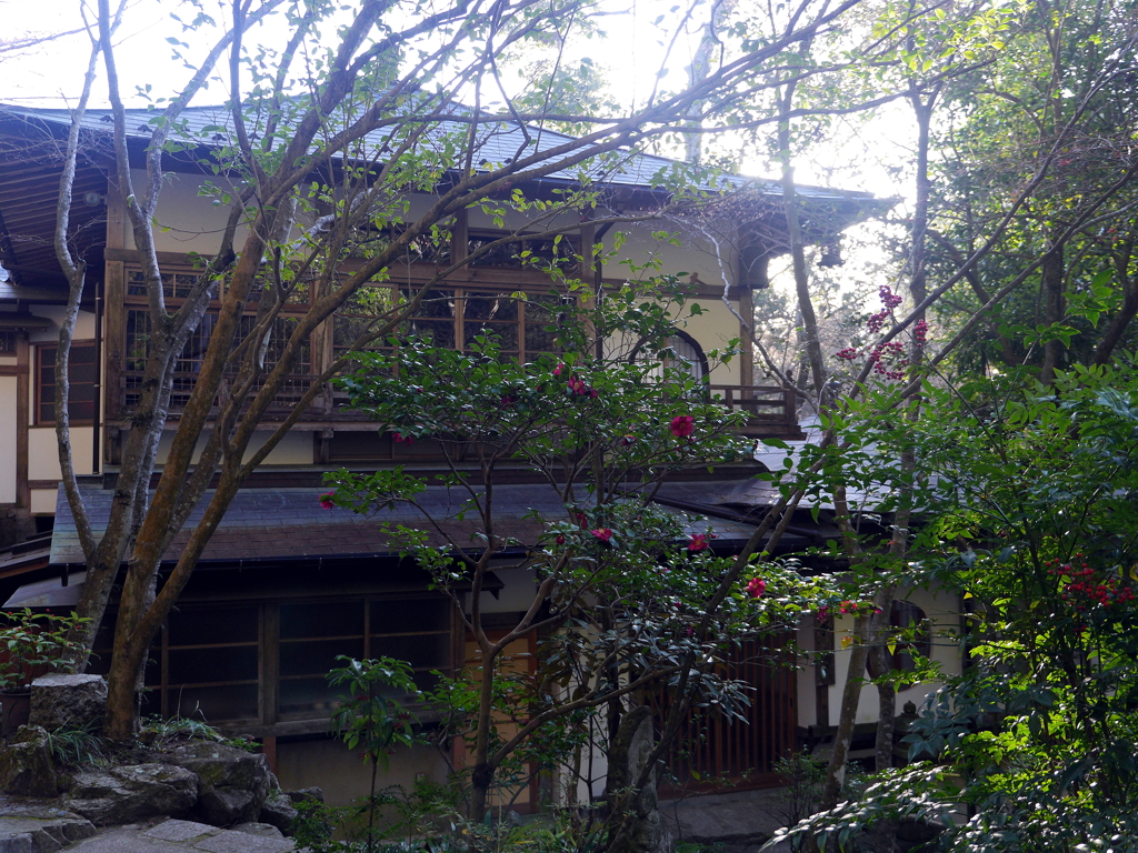 P1080678 三滝寺