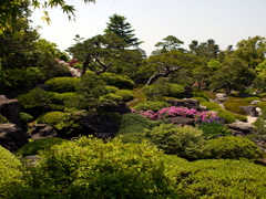 日本庭園