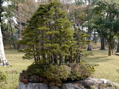 P1040708g